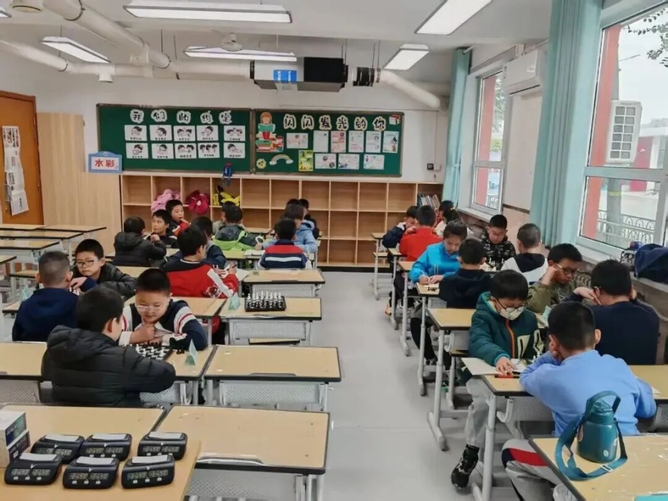 决出了本次, 智力运动 决出了本次, 智力运动